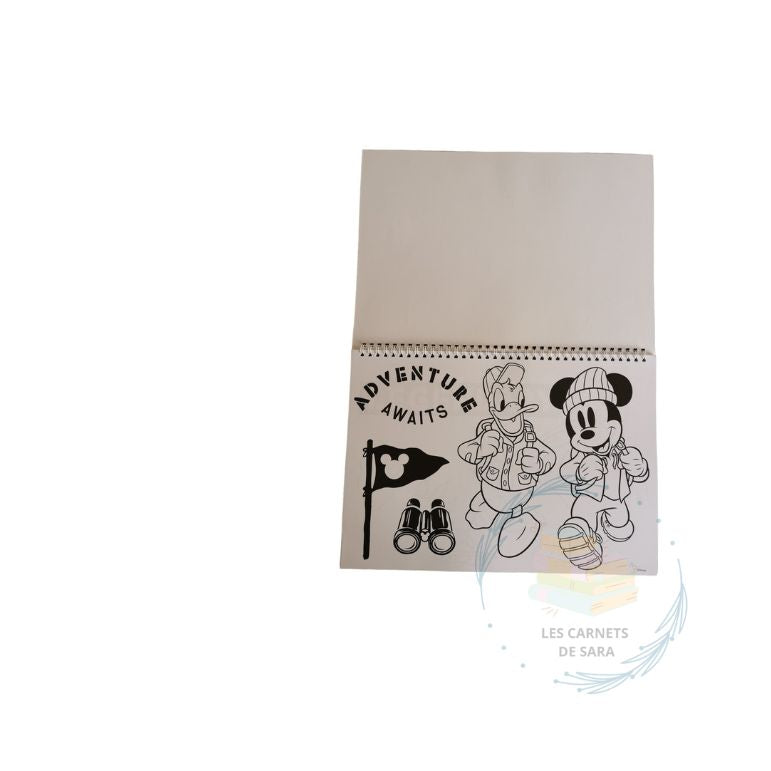 Mickey - Grand cahier de coloriage et de dessin avec stickers