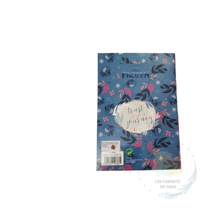 Reine des neiges - Carnet B5