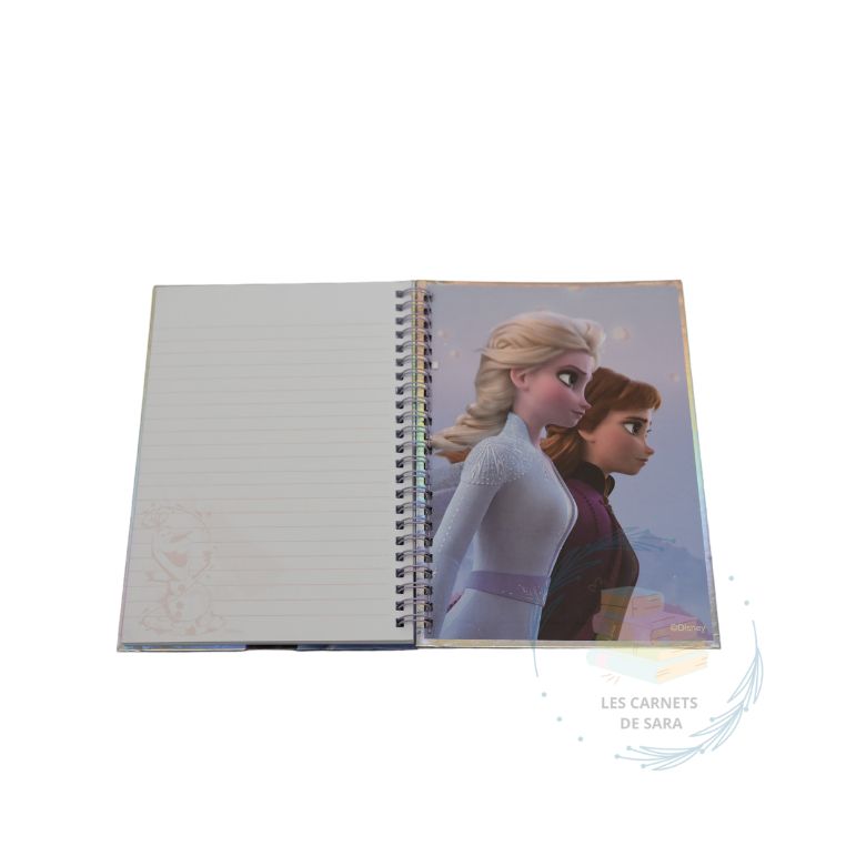 Reine des neiges - Journal / Livre d'or