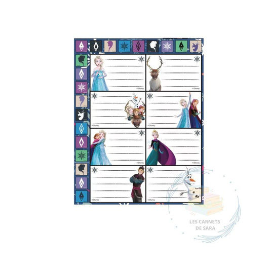 Reine des neiges - 16 étiquettes avec stickers